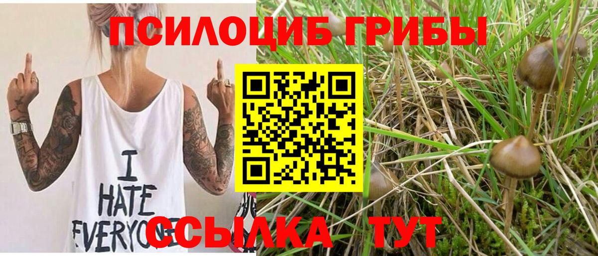 купить закладку  Псилоцибиновые грибы Cubensis  Вход с VPN  Ялта 